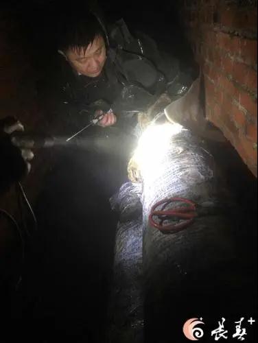 尊龙凯时人生就是搏·(中国区)官方网站