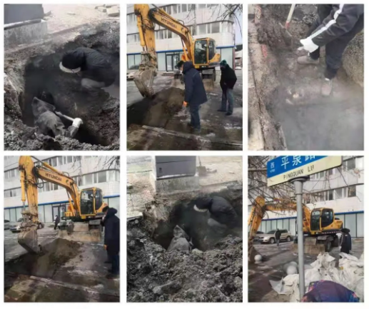 尊龙凯时人生就是搏·(中国区)官方网站