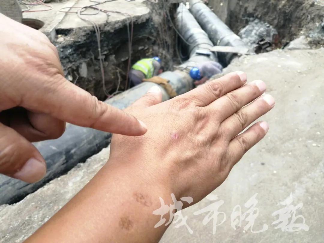 尊龙凯时人生就是搏·(中国区)官方网站